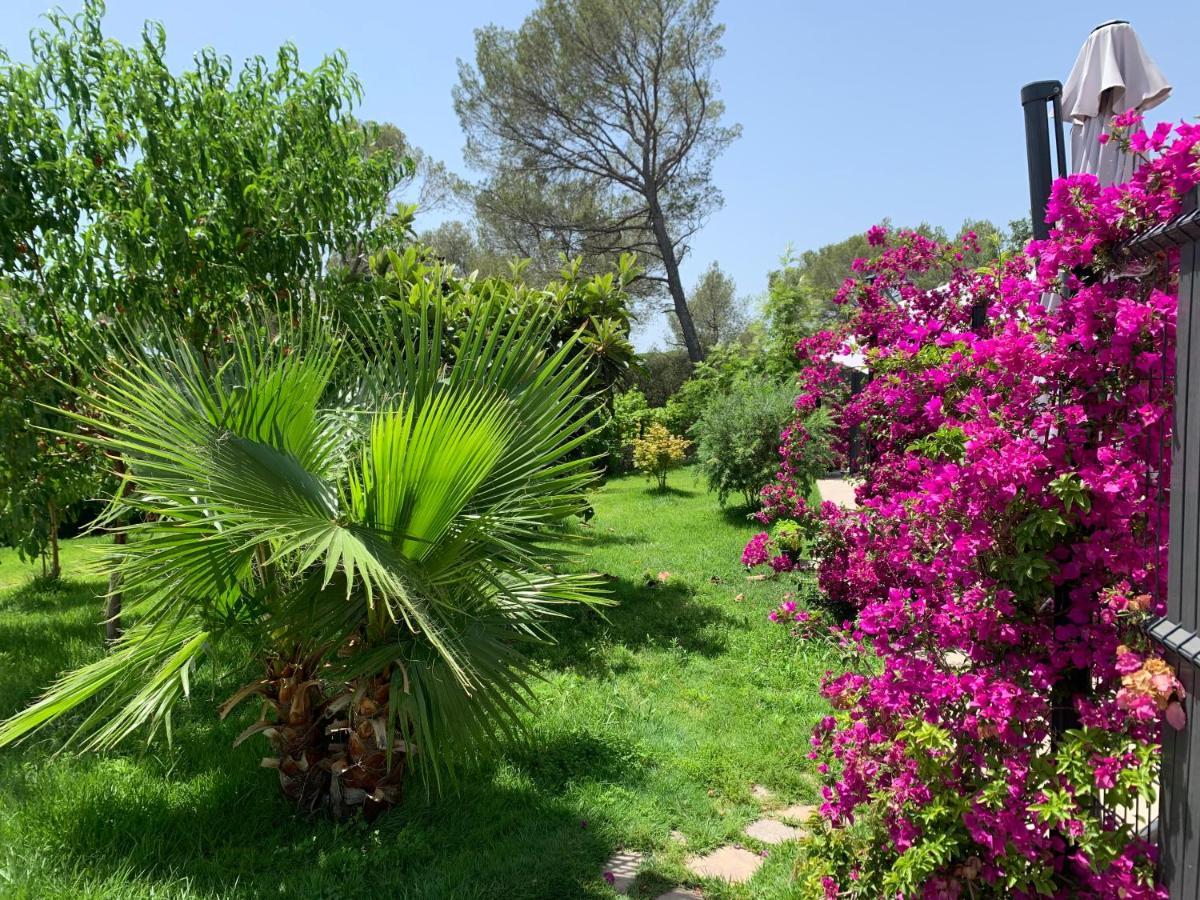 La Balma - 4 Appartements Avec Jardin En Maison Passive De Plain Pied A Frejus-Saint-Raphael 外观 照片